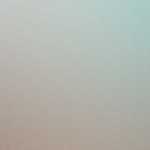 Fatwa syekh al-allamah muhammad bin al hasan al dedew soal mesir