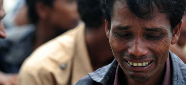rohingya