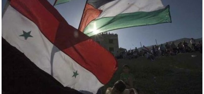 palestina-suriah