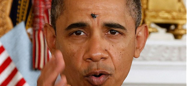obama-fly