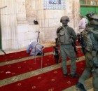 alaqsha13