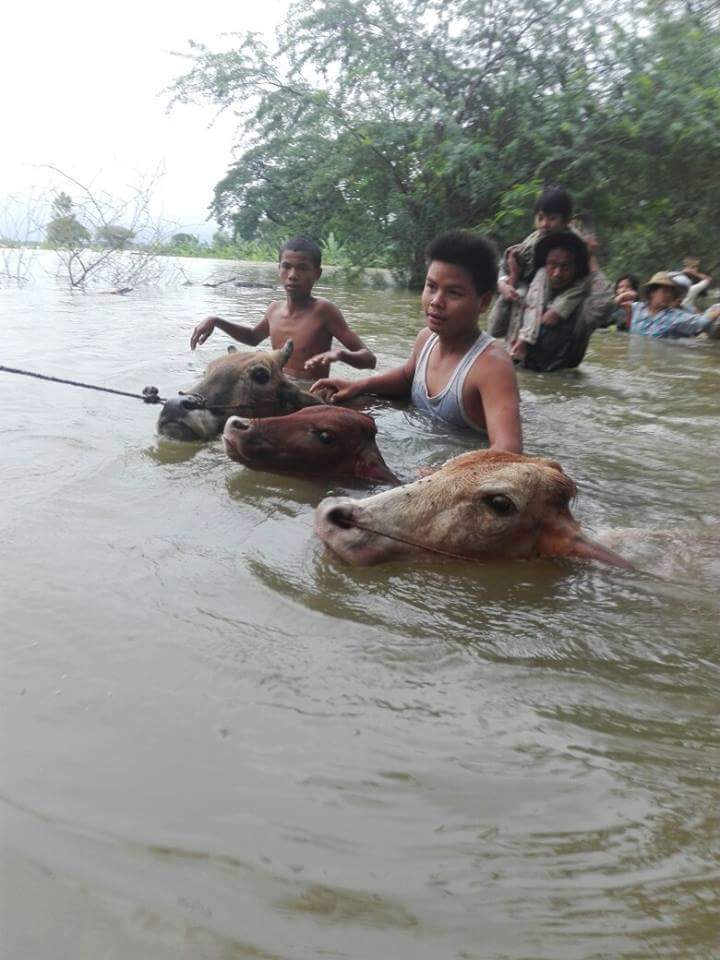 arakan15